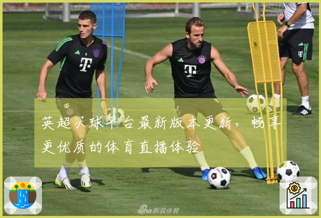 英超买球平台最新版本更新，畅享更优质的体育直播体验